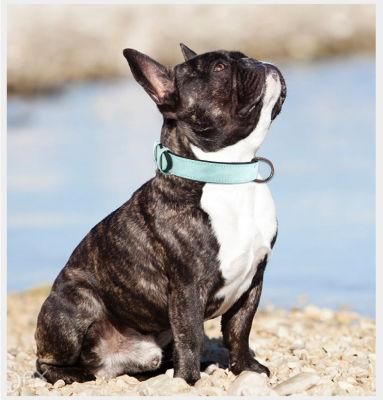 Reflective Collar and Leash for Pet Dog