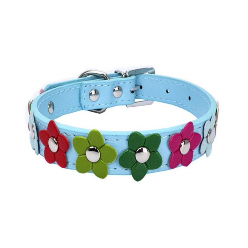 Charming Dog Collar with Beautiful Flowers Design