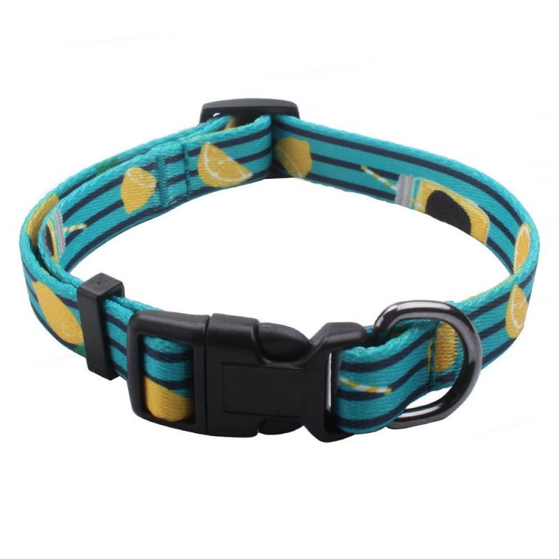 Most Popular Hot Sale Durable Adjustable Dog Collar Pet Accessories