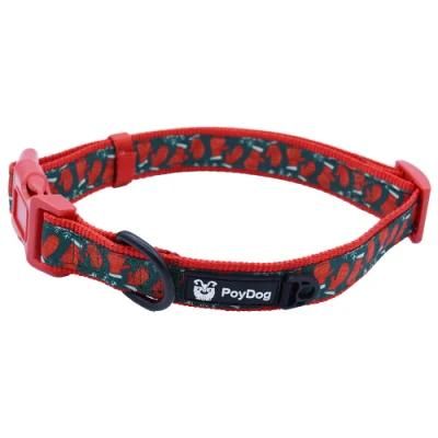 All Seasons Customized Logo on Label Polyester Dog Collar Wholesale