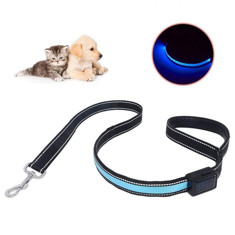 Solar-Powered/USB Rechargeable Waterproof LED Dog Leash