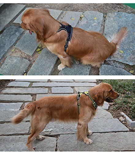 Comfortable Lightweight Mesh Lining No Pull Dog Harness
