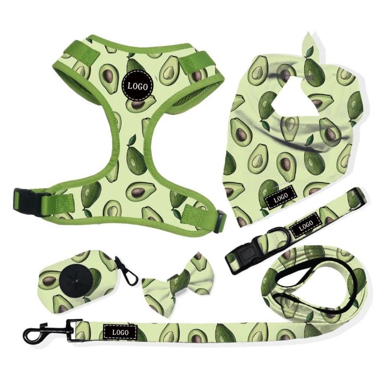 Free Mock up Custom Dog Harness with Leash Collar Poo Bag