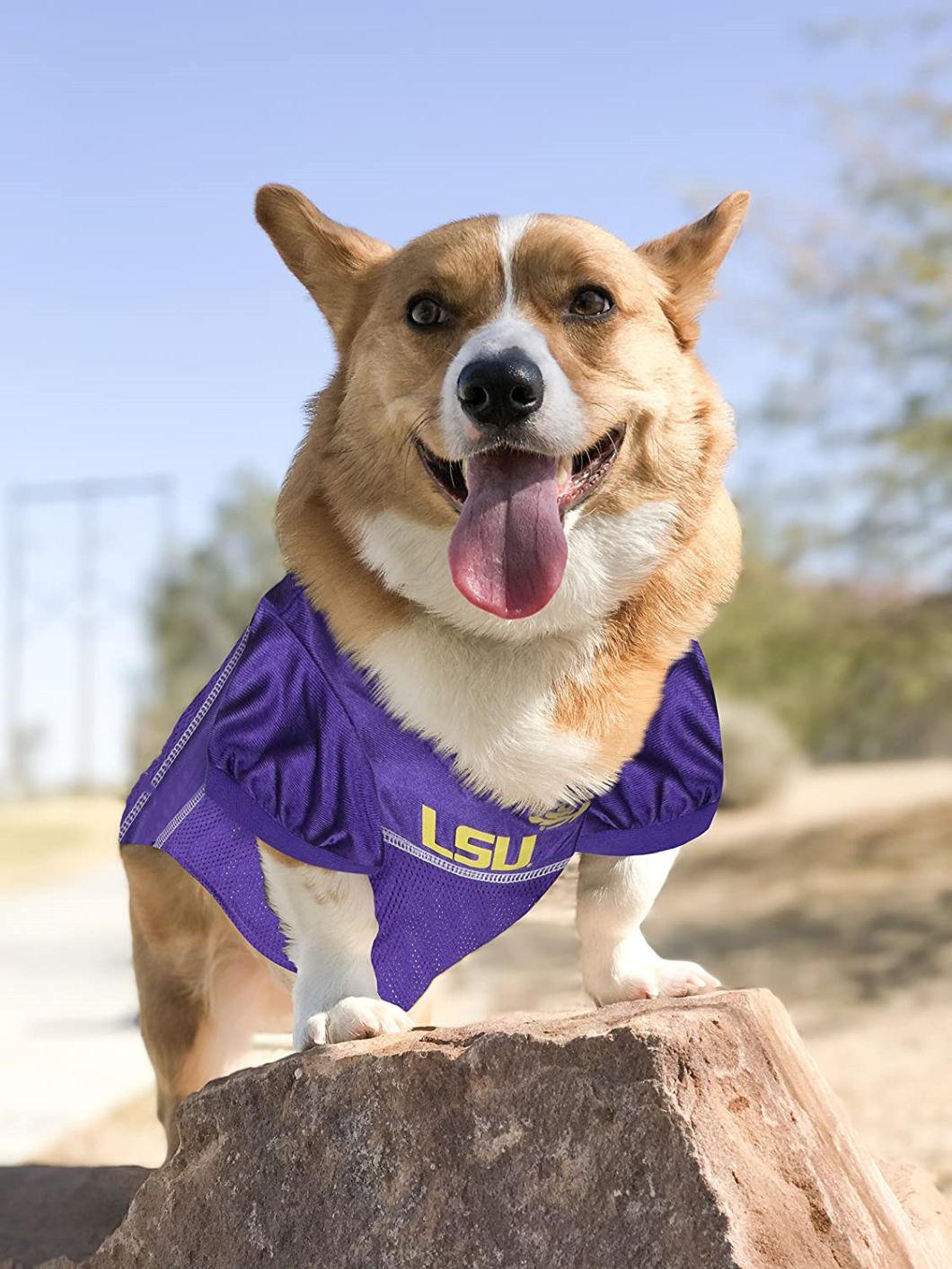 Cooling Sport Style Dog T-Shirt for Spring Summer Dog Walking