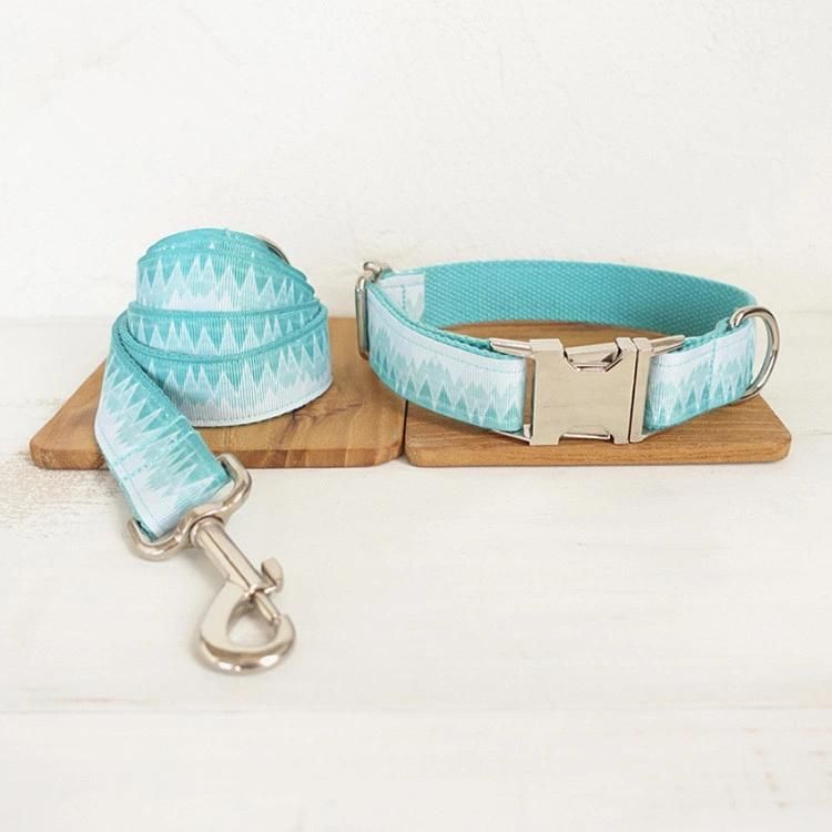 Factory Wholesale Nylon Webbing Dog Leash Suit