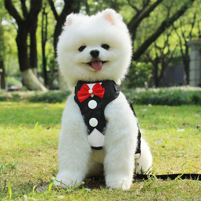 Dog Harness Nylon Breathable Puppy Dog Harness Vest Pet Walking Harnesses