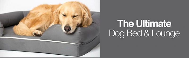 Petfusion Removable & Easy to Clean Large Dog Bed W/Solid 4" Memory Foam Material