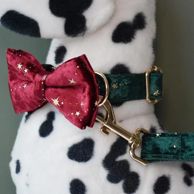 Bowtie Dog Collar-Velvet Dog Collars with Detachable Bowtie, Adjustable Bow Collar for Girl and Boy Dogs