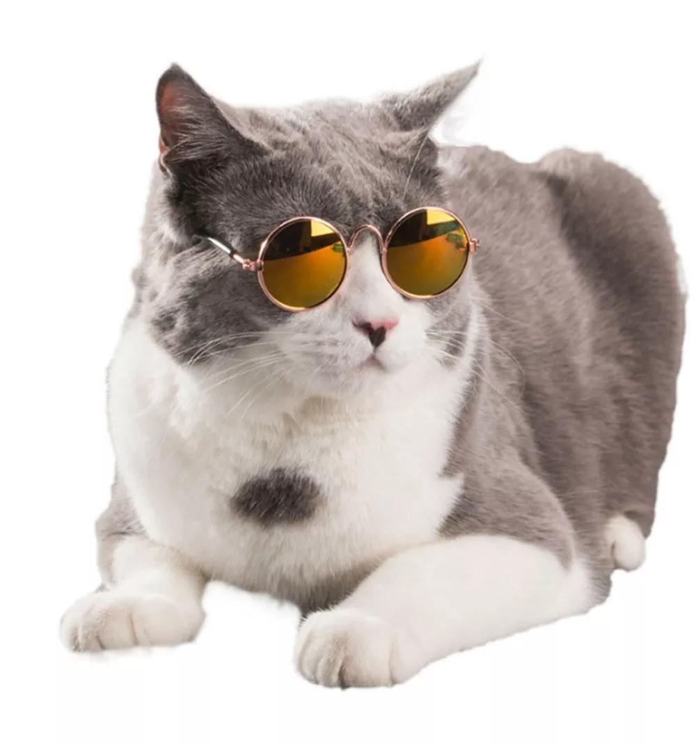 Pet Cat Glasses for Photos Props Accessories Little Dog Cat Eye Wear Sunglasses Pet Supplies Toy