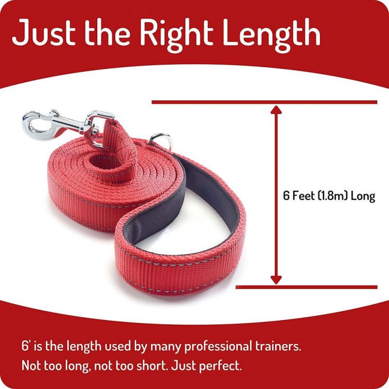 Super Strong Double Layer Nylon Dog Leash with Fast Delivery