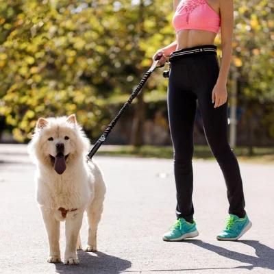 Hands Free Bungee Dog Leash with The Reflective Waist Belt for for Walking &amp; Running with Small, Medium or Large Dogs