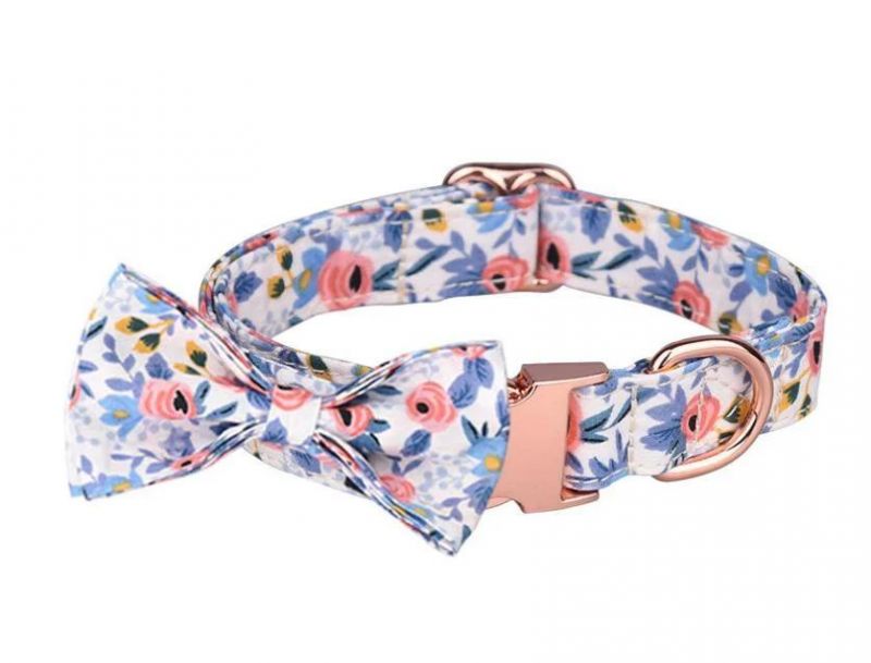 Free Sample Luxury Pet Products Dog Bow Tie Adjustable Dog Collar and Leash Set Dog Leash Dog Collar