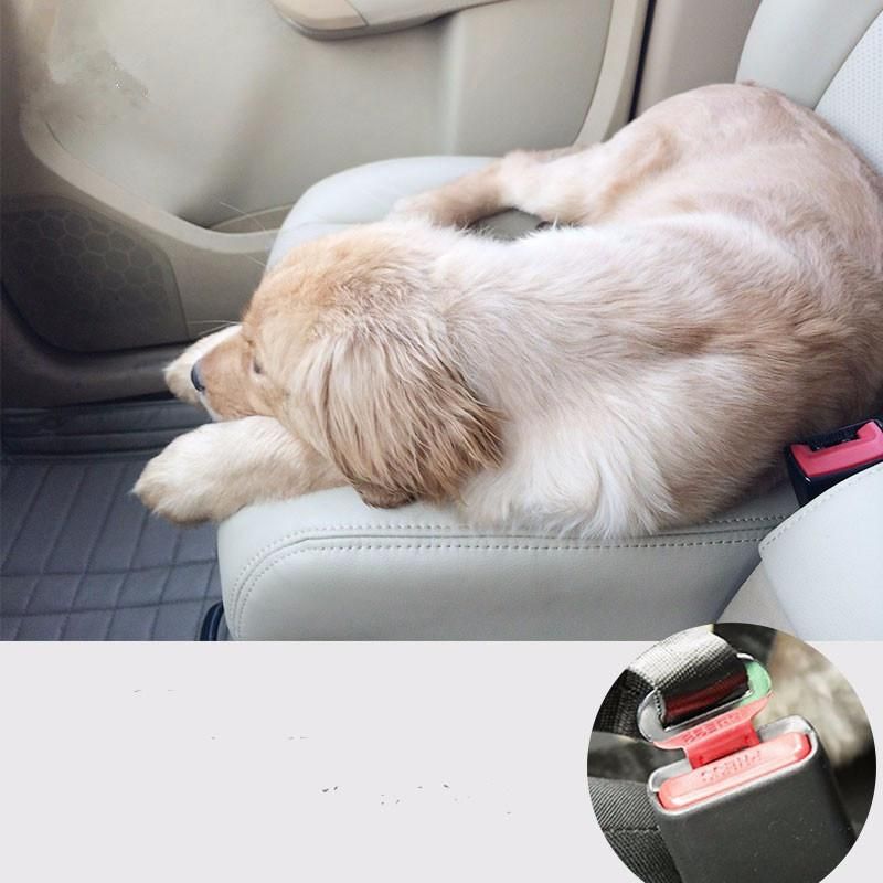 Manufacturer Wholesale Multi-Colors Adjustable Dog Pet Cat Car Belt