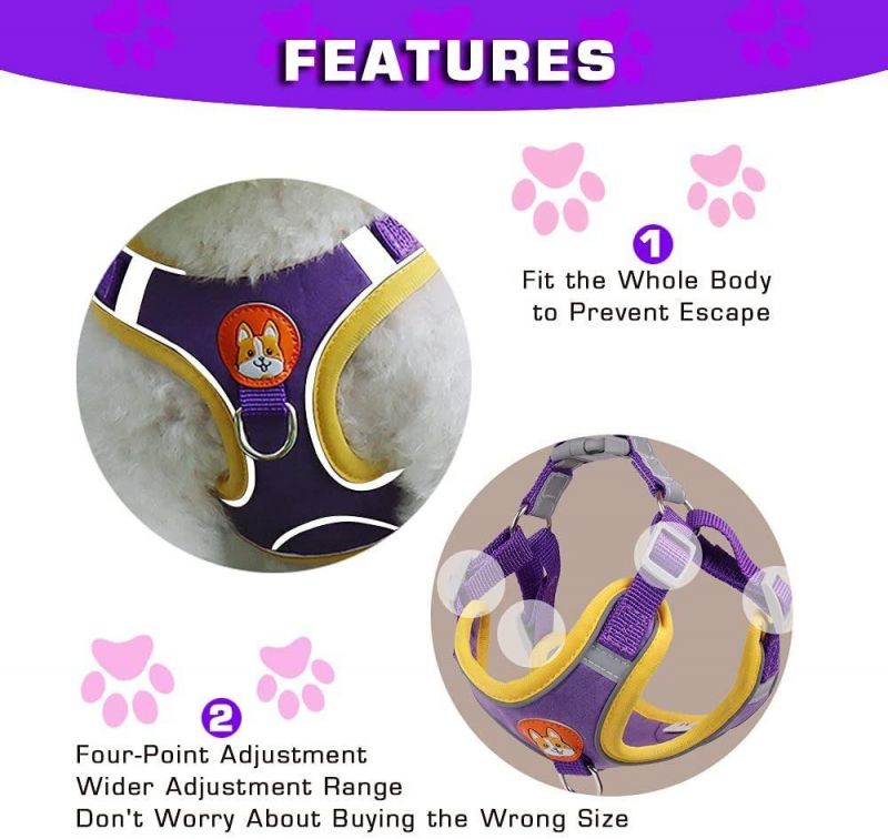 Fashion Hightlight Color Pet Harness Vest Reflective Dog Harness Set