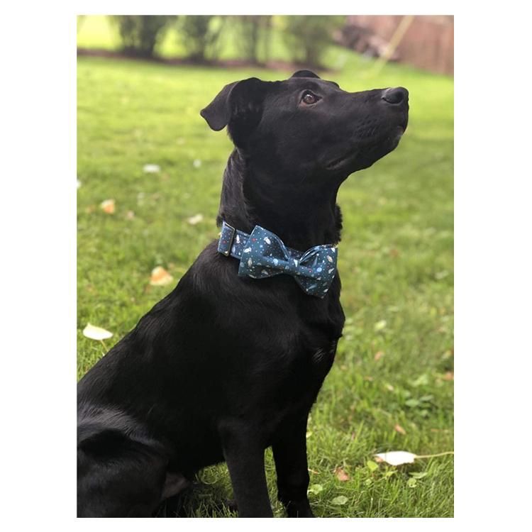 Custom Logo and Pattern Special Bow Tie Dog Collar Adjustable Printed Strong Durable Print Cotton Webbing Pet Bowknot Collars