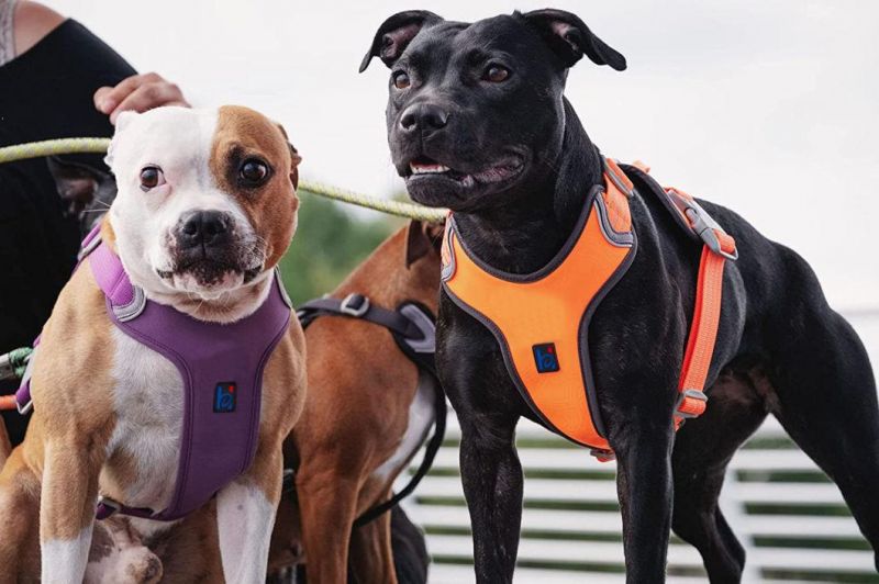 No Pull Dog Harness, Breathable Pet Vest for Outdoor Walking Training Control for Small Medium Large Breeds