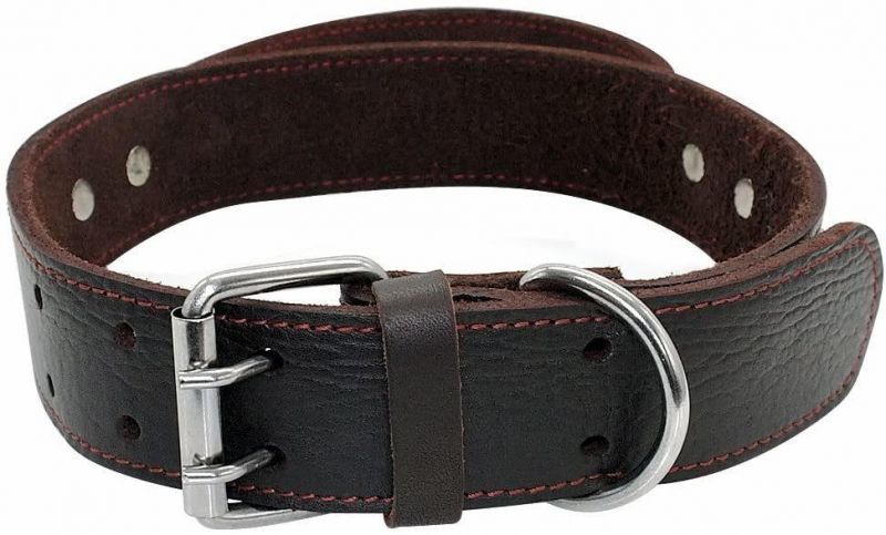 Genuine Leather Dog Collar for Walking & Training Heavy Duty Dog Collar with Handle
