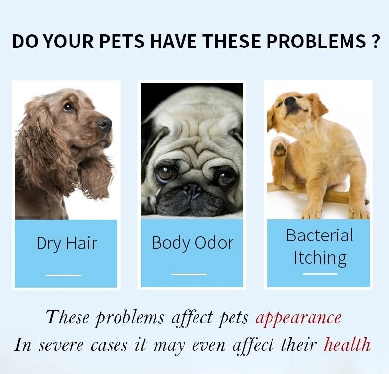 Private Label Cleanse Flea Prevent Itching Probiotic Dog Shampoo Pet Products 100ml