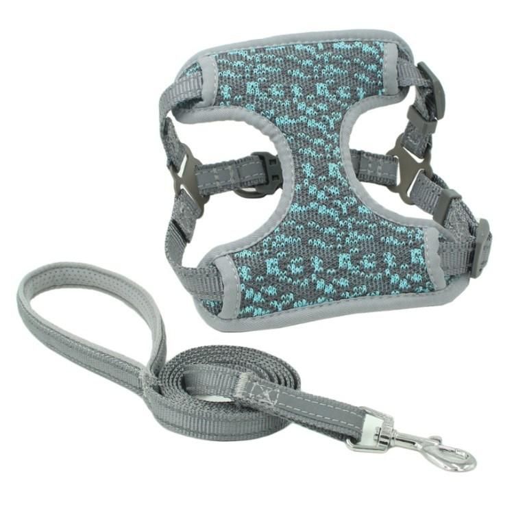 Pet Dog Harness Vest with Leash Set