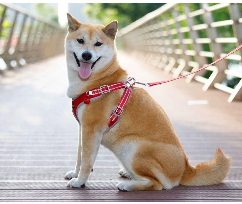 Adjustable Dog Vest Harnesses Leash Dog Large Dogs Harnesses Pet Product
