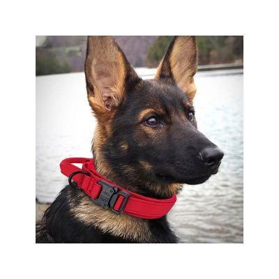 Popular Custom Adjustable Nylon Durable with Handle Tactical Collars for Dogs