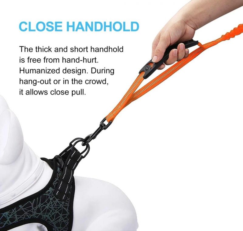 Reflective Bungee Dog Leash with Comfort Padded Handles