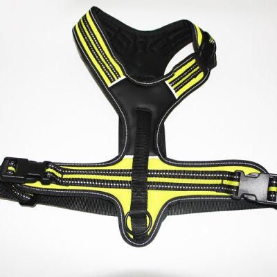 No Pull Small Dog Harness