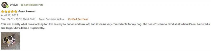 The Best Seller Soft & Comfortable 3m Reflective Strips Nylon Neoprene Padded Training Dog Harness