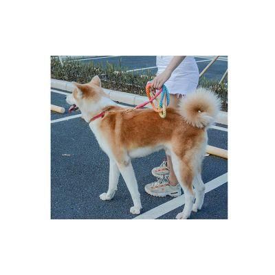 Luxury Travel Comfortable Smooth Texture Mixed Color Dog Collar