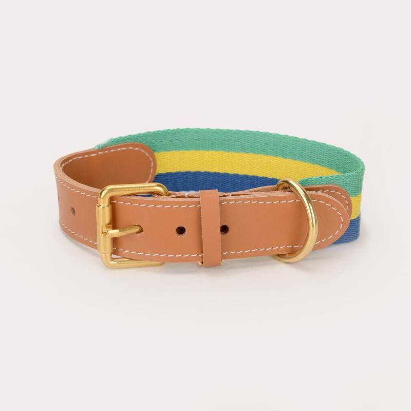 Wide Personalised Webbing Dog Collar with Leather