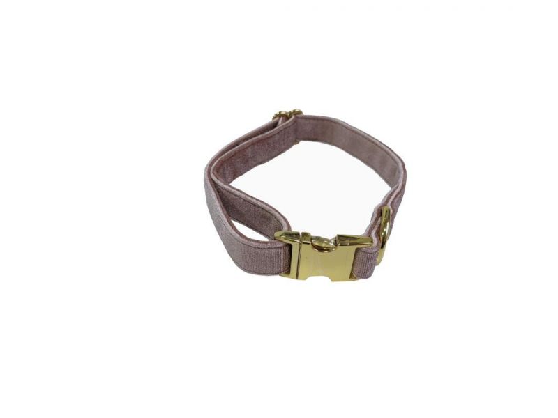 Factory Customized Flannel Pet Collar for Walking Dogs