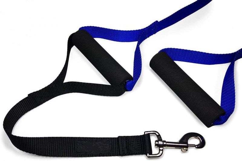 No Pull Double Handle Training Lead for Walking Big Dogs