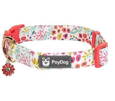 Personalized Classic Soft Durable Comforting Padded Handles Dog Collar