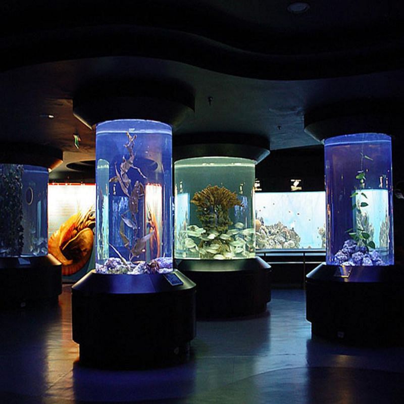 China Big Size Round Fish Tank, Customized Transparent Acrylic Aquarium Tank Round