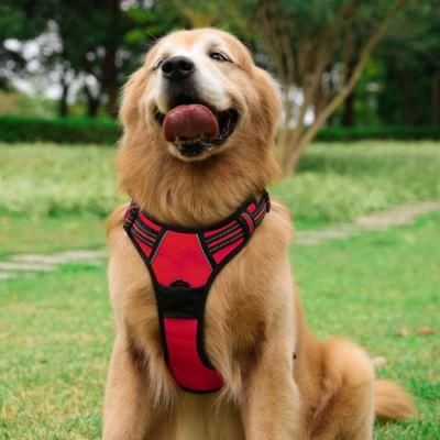 Reflective Outdoor Easy Control No-Pull Pet Harness