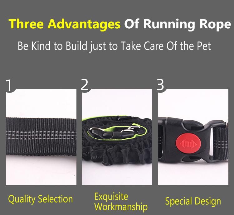 Dual Handle Lead Leash, Shock Absorbing Reflective Adjustable Waist Hands Free Dog Leash//