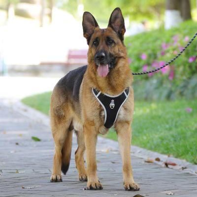 Large Training Pet Harness No Pull Dog Harness with Mesh Fabric Lining
