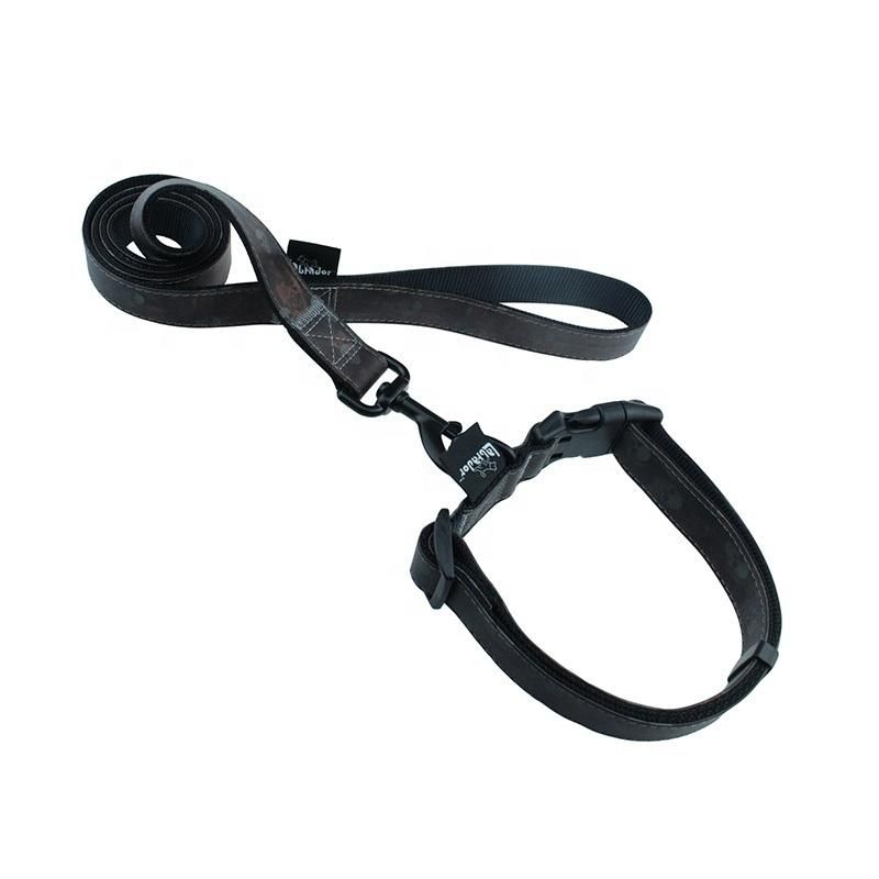 Amazon Top Seller Fashion Heavy Duty Dog Leash Eco Friendly Pet Collars Leashes
