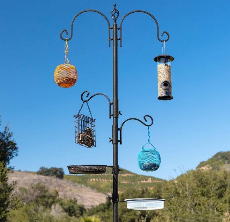 6-Hook Bird Feeding Station, Steel Multi-Feeder