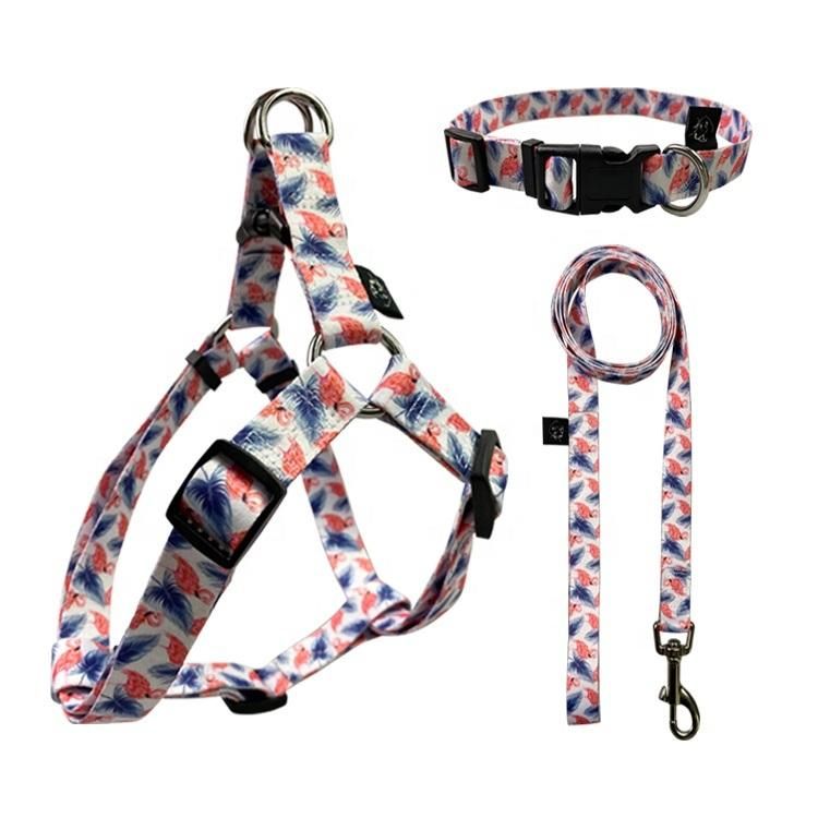 High Quality Comfort 2 in 1 Sublimation Dog Harness with Matching Dog Collar Leash Set