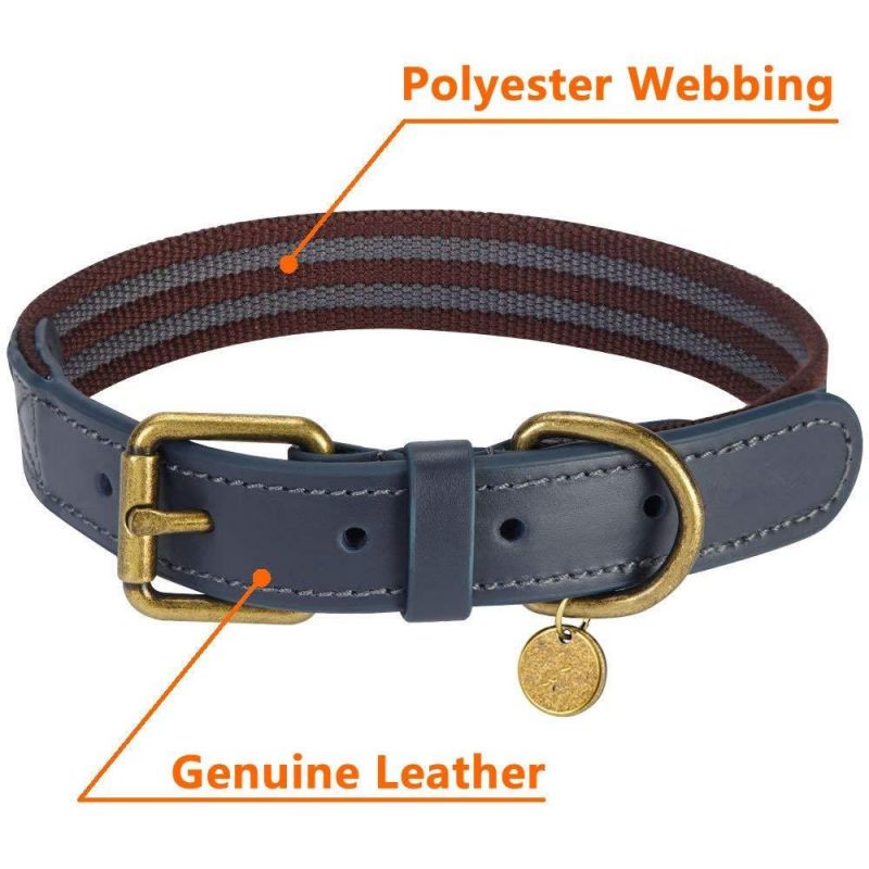 High Quality Round Soft Leather Dog Pet Collar with The Latest Design