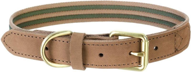 Premium Canvas Leather Dog Collar