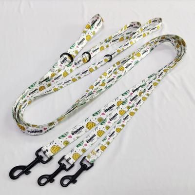 Manufactures Pet Dog Products Supply Accessories Pet Dog Training Leads Leash