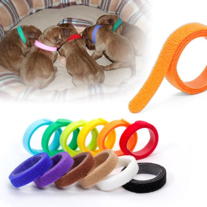 Delicate and Soft Adjustable Multicolor Pet Identification Collar