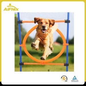 Pet Dog Agility Training Outdoor Jump Hurdle