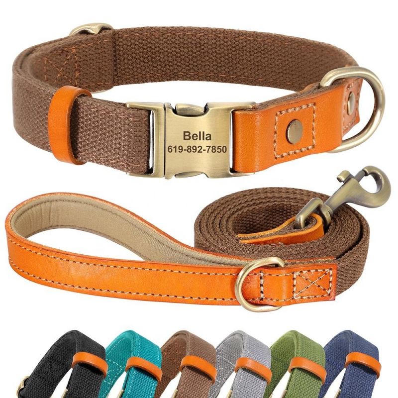 Hot Sales Genuine Leather Matching Polyester Cotton Pet Dog Collar and Leash Set