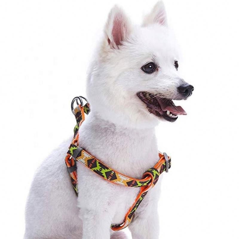 2021 Wholesale Sublimation Custom Dog Harness Soft Padded Handle Strong Polyester Dog Leash for Outdoors