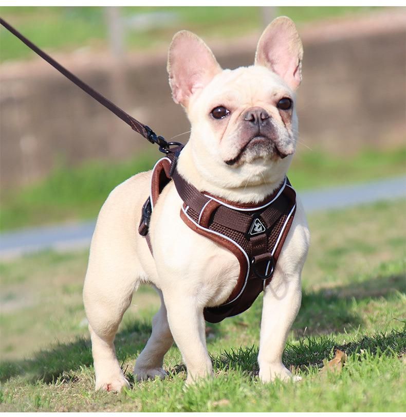Pet Accessories Reflective Lightweight Pet Product Harness Travel Outdoor Dog Harness