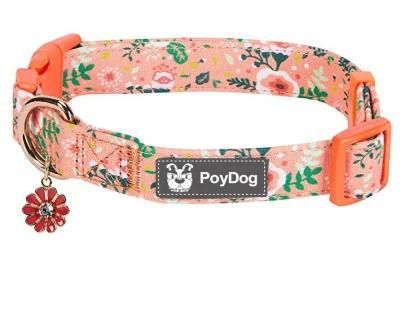 2022 OEM Manufacturer Free Sample New Trend Spring Collection Dog Bowtie Collar