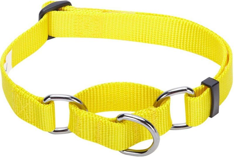 Personalized Collar Regular & Martingale Collars